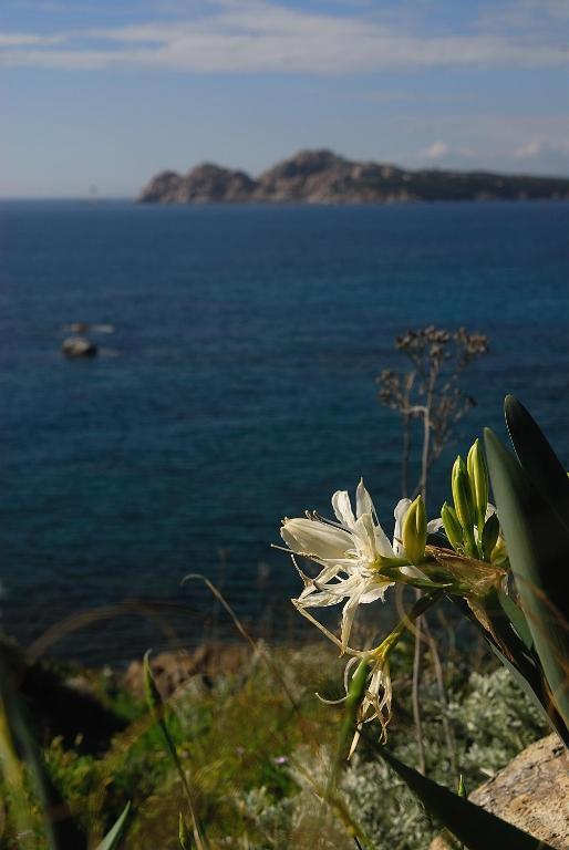 Bed and Breakfast La Chicca di Francesca Santa Teresa di Gallura Esterno foto